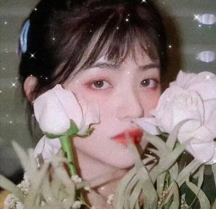 飞马俏姑娘